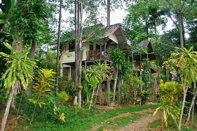 1 Day Khao Sok Jungle Safari and 2 Days Cheow Lan Lake Explorer from Krabi - Practical details before you go