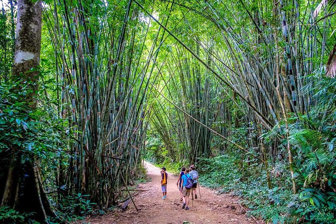 1 Day Khao Sok Jungle Safari and 2 Days Cheow Lan Lake Explorer from Krabi - Should you book this Khao Sok trip?