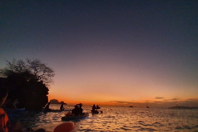 2-Hour Clear Kayak Illuminated Night Tour in Krabi - Booking details worth checking