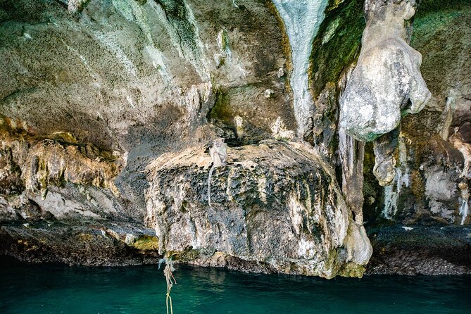 6 Hours Private Tour Around Phi Phi Islands From Phi Phi - Loh Samah Bay and Maya Bay’s famous shore