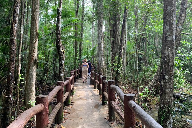 All day Krabi Jungle Tour (Hot Spring Water, Emerald Pool, Tiger Cave Temple) - Namtok Ron: a warm soak in the forest
