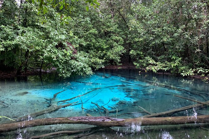All day Krabi Jungle Tour (Hot Spring Water, Emerald Pool, Tiger Cave Temple) - FAQ