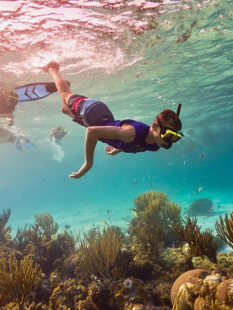 Ao Nang: 4 Islands Day Tour by Speedboat or Longtail Boat - Guides, food, and the value of the package