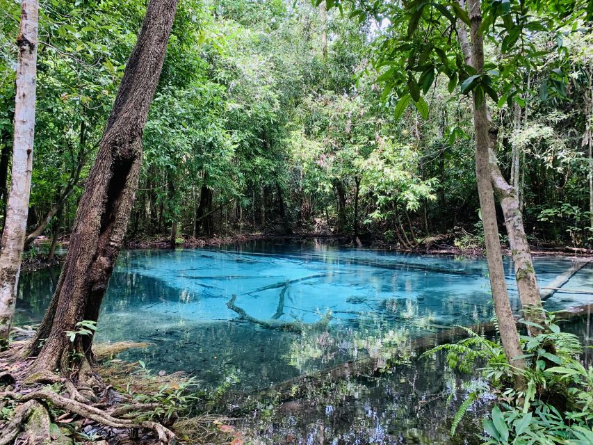 Ao Nang: Hot Spring, Emerald Pool & Tiger Cave Temple Tour - A Thai lunch before the hardest climb