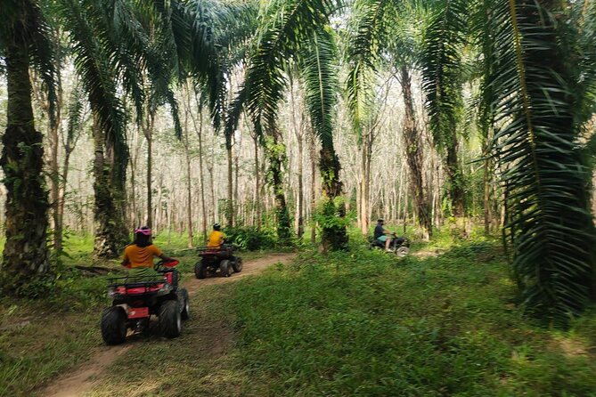 ATV Jungle Adventure in Krabi with Roundtrip Transfer - Jungle tracks and plantation roads