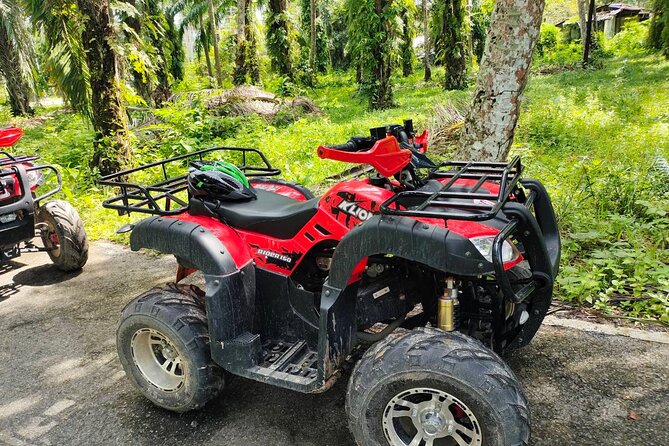 ATV Jungle Adventure in Krabi with Roundtrip Transfer - Who will enjoy this most?