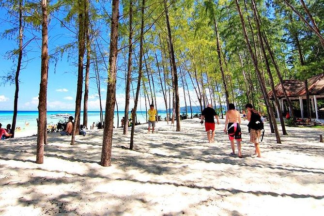 Bamboo Island, Maya Beach and Phi Phi Islands One Day Tour from Krabi - Monkey Bay and the final swim