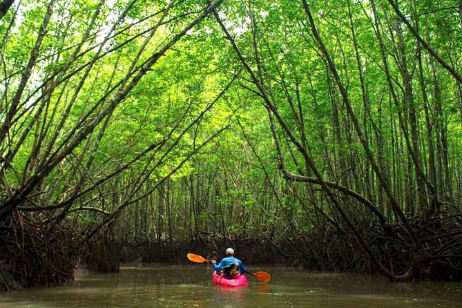 Deep Mangrove and Canyon Kayak Tour in Krabi - What makes this kayak trip worth considering