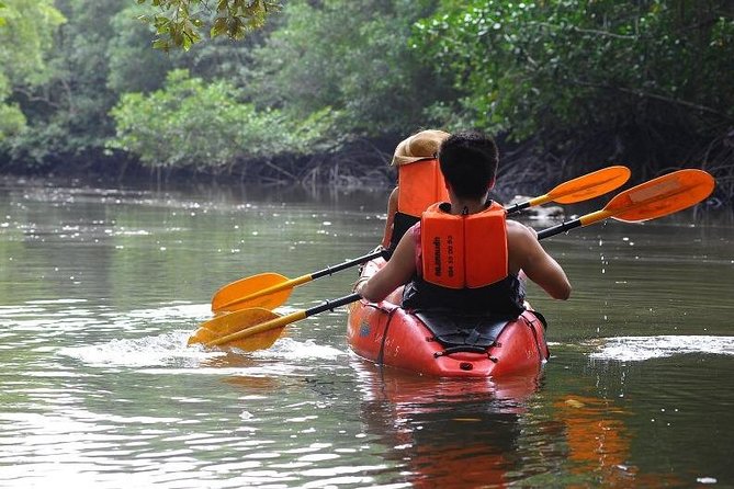 Deep Mangrove and Canyon Kayak Tour in Krabi - What $42.35 covers