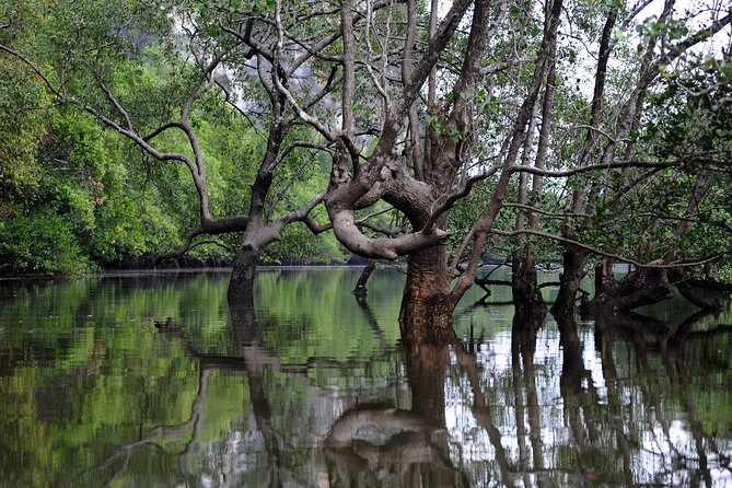 Deep Mangrove and Canyon Kayak Tour in Krabi - Who should book it, and who might pass
