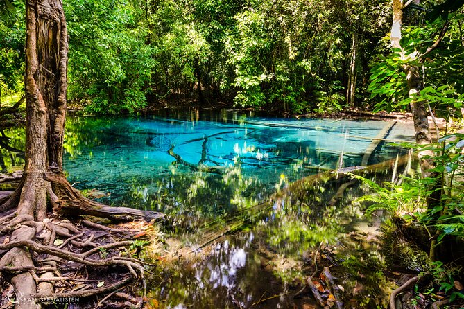 ECO Premium Jungle Hot Springs and Temple Tour - What the $57 price covers