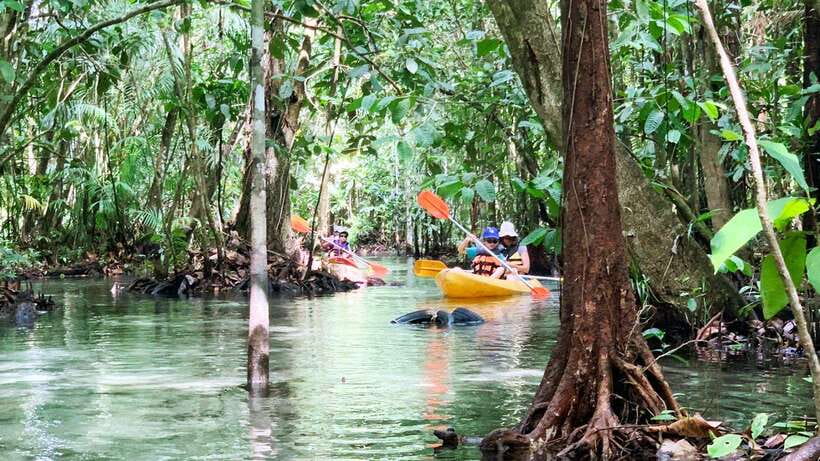 From Ao Nang: Kayaking at Klong Rud with Hotel Transfers - What to know before you go
