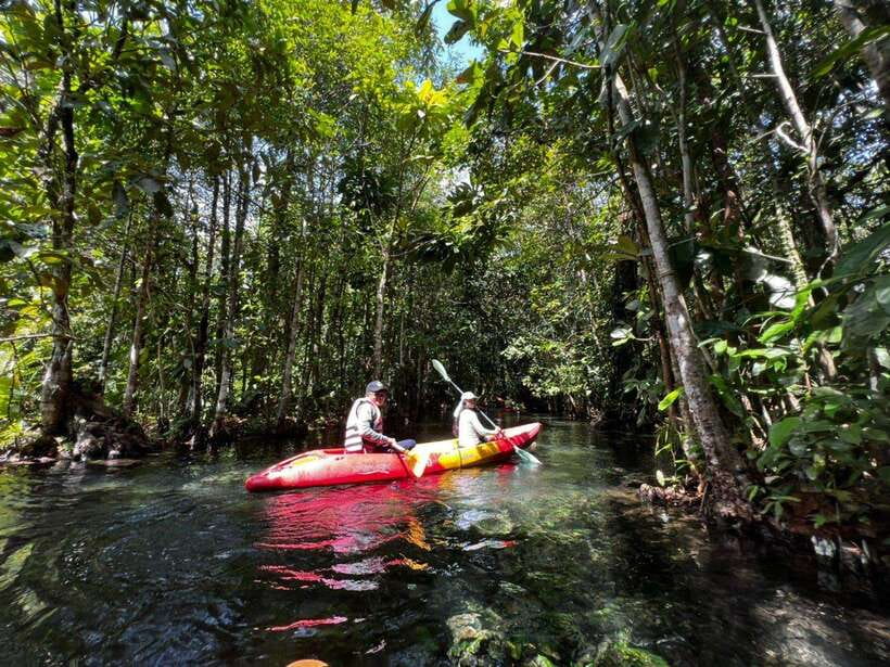 From Ao Nang: Kayaking at Klong Rud with Hotel Transfers - Paddling through forest waterways