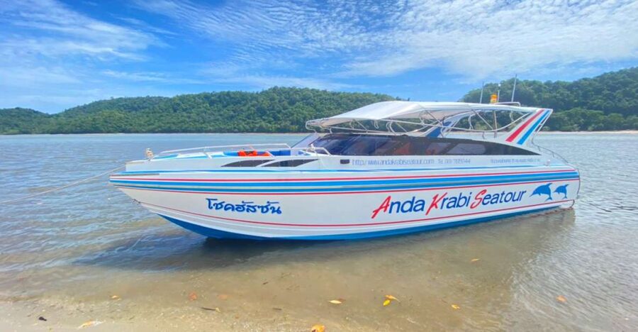 From Krabi: Phi Phi Island Full-Day Private Speed Boat Tour - Phi Phi Don: picnic and a choice of free time