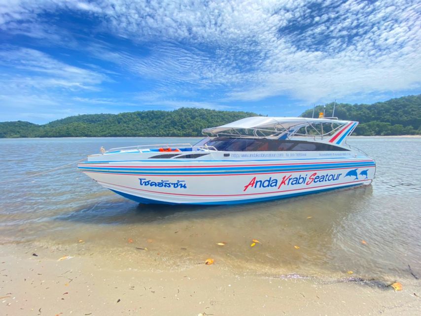From Krabi: Phi Phi Island Full-Day Private Speed Boat Tour - Loh Samah Bay and the Maya Bay reality check