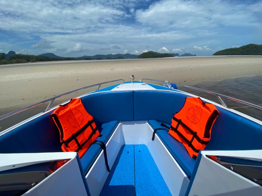 From Krabi: Phi Phi Island Full-Day Private Speed Boat Tour - Practical details before you book