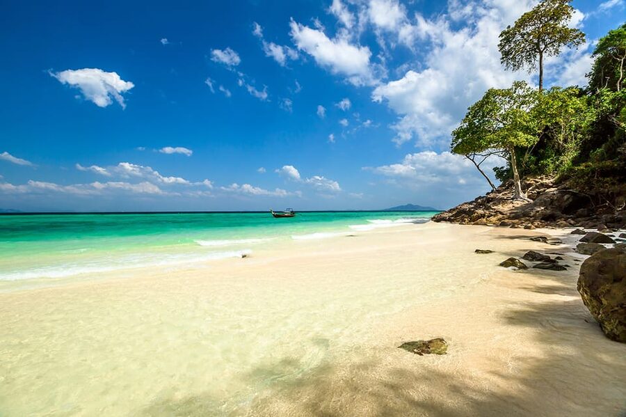 From Krabi: Phi Phi Islands Speedboat Day Tour - At a glance
