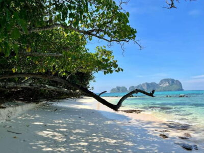 From Phi Phi: Full Day 7 Island Tour by Longtail with Sunset