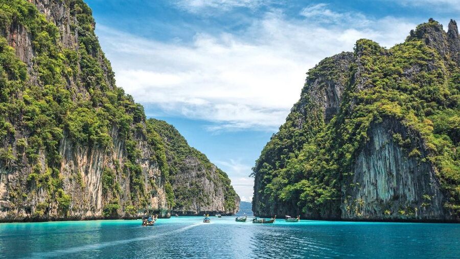 From Phi Phi: Full Day Snorkeling Trip by Longtail Boat - Shark Point and what a sighting really means