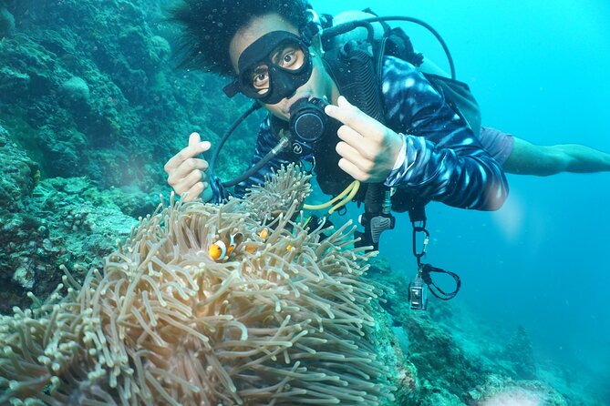 From Phi Phi: Half Day Discover Scuba (2 Dives) - Safety, Group Size, and Reef Care