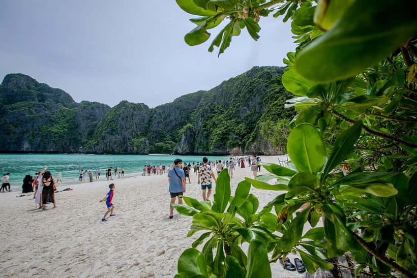 From Phi Phi: Half Day Longtail Boat Tour to Maya Bay - Monkey Beach gives you a quick wildlife stop