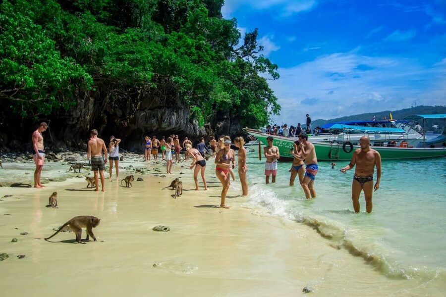 From Phi Phi: Half-Day Longtail Boat Tour with Snorkeling - Monkey Beach: watch from the water, keep your distance