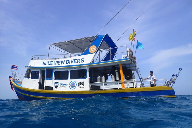 From Phi Phi: Half Day Trip for Certified Divers (2 Dives) - What happens between the pier and the reefs