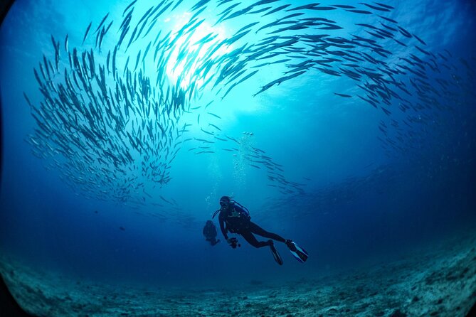 From Phi Phi: Half Day Trip for Certified Divers (2 Dives) - Marine life, site choice, and the limits of certainty
