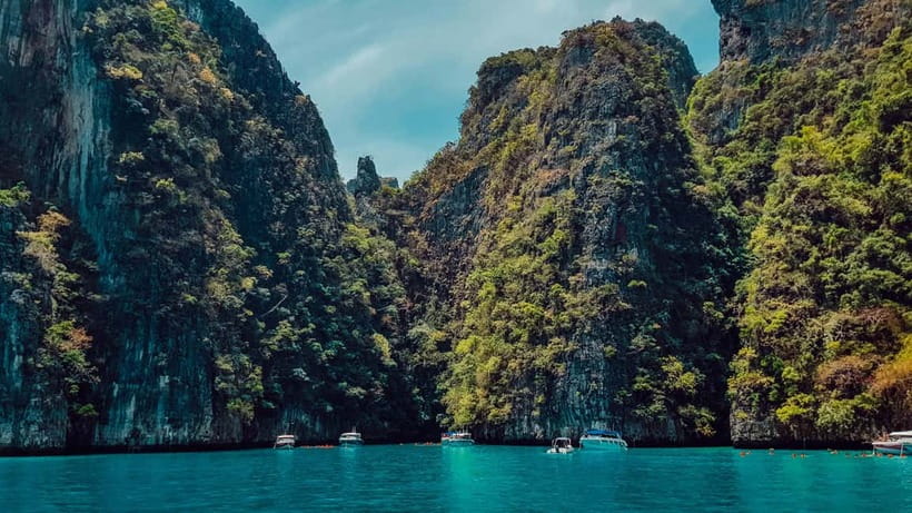 From Phi Phi: Maya Bay HalfDay Longtail Boat with Snorkeling - Monkey Beach: a quick stop with a wildlife warning
