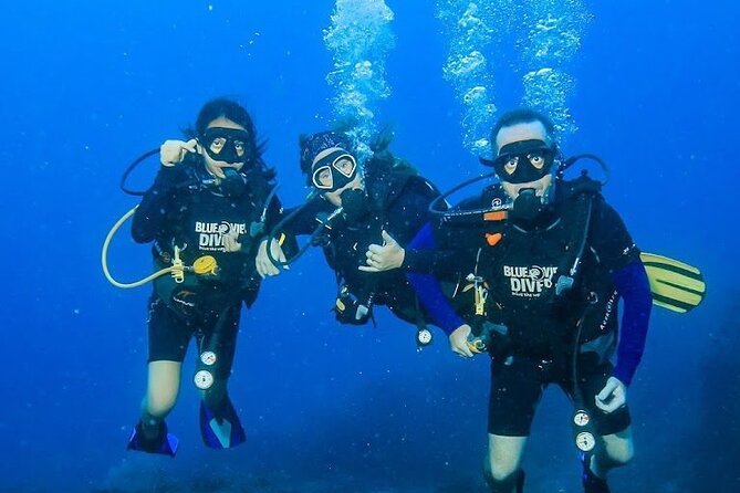 From Phi Phi: PADI Open Water Course <em>eLearning (2+ days) – Start with eLearning, not a classroom cram’ /></p>
<p><p>After booking, contact Blue View Divers to receive the official PADI eLearning course and Open Water videos. The online study takes about 8 to 12 hours, and you can complete it at your own pace before reaching Phi Phi. That is useful on an island trip: you spend less of your visit working through basic theory and more time on the practical skills.</p>
</p>
<p><p>Treat that study time as a real part of the course, not an optional warm-up. You’ll need to understand the material before you can make good use of the hands-on instruction. If you arrive without finishing, the flexible schedule may help, but it does not erase the work.</p>
</p>
<p><p>The listed course length is about two days and six hours, while the provider recommends three days. I’d lean toward the longer option if your itinerary allows it. A little margin can make the training feel less rushed and leave time to enjoy Phi Phi between sessions.</p>
</p>
<h2>Meet above Loh Dalum Bay</h2>
<p><img width="669" height="446" decoding="async" src=