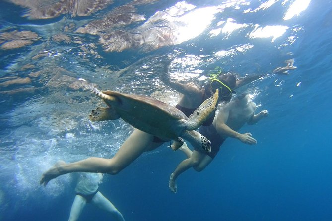 From Phi Phi: Sunrise & Beat The Crowds to Maya Bay by Speedboat - Who will get the most from this Phi Phi tour