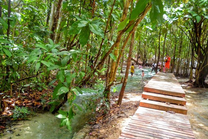 Full-Day Jungle Tour Including Tiger Cave Temple, Crystal Pool and Krabi Hot Springs - What you are paying for