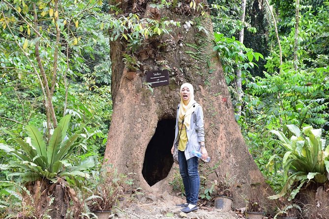 Full-Day Jungle Tour Including Tiger Cave Temple, Crystal Pool and Krabi Hot Springs - Getting ready for a more comfortable day