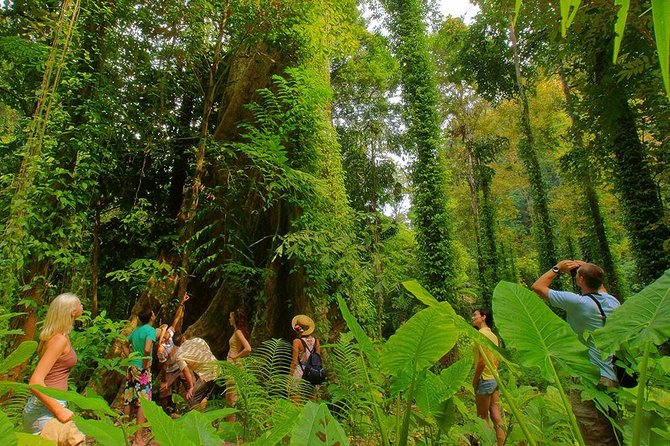 Full-Day Jungle Tour Including Tiger Cave Temple, Crystal Pool and Krabi Hot Springs - FAQ