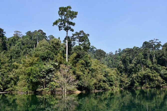 Full-Day Tour to Cheow Lan Lake in Khao Sok National Park from Krabi - The long drive from Krabi sets the pace