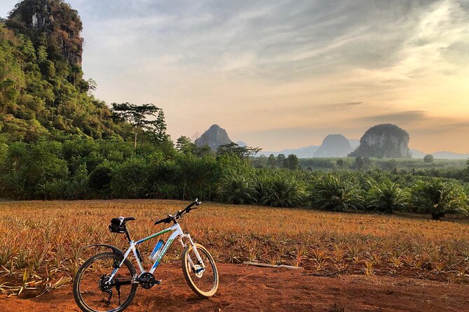 Guided Mountain Biking - Grand Tour - Trails of Ao Nang - A farmhouse and market bring local life into view