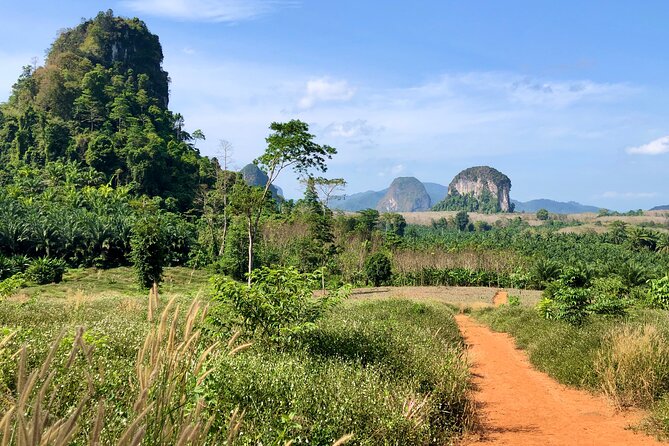 Guided Mountain Biking - Grand Tour - Trails of Ao Nang - Who should choose this ride?