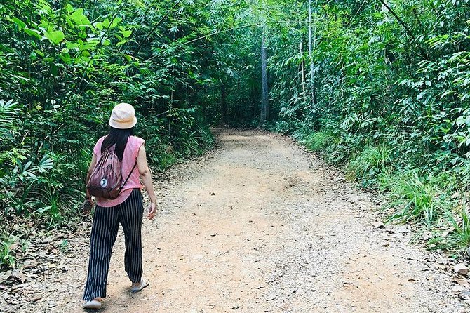 Half Day Jungle Tour to Emerald pool and Krabi Hot Spring - Does $39.25 make sense?