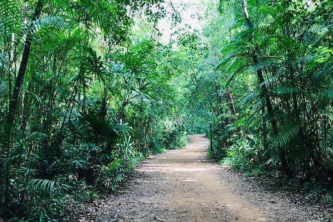 Half Day Jungle Tour to Emerald pool and Krabi Hot Spring - Who should book this outing?