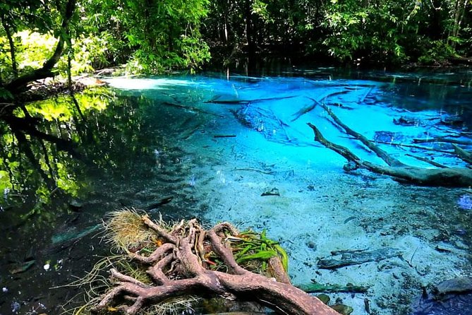 Half Day Jungle Tour to Emerald pool and Krabi Hot Spring - Namtok Ron’s warm, slippery pools