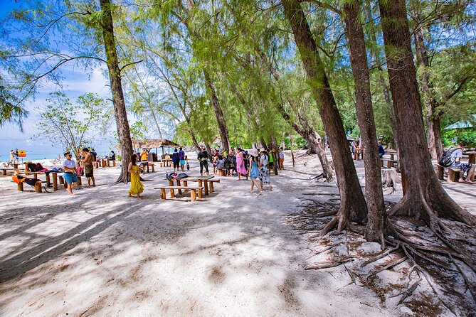 Half-Day Morning Bamboo Island Tour from Phi Phi by Longtail Boat - Who will get the most from this morning