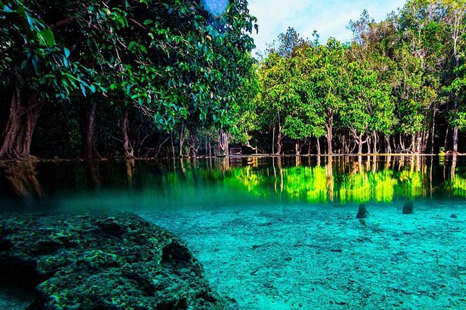 Jungle Tour to Emerald Pool, Krabi Hot Spring and Tiger Cave Temple - Three Krabi stops, one long day