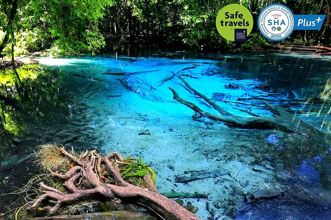 Jungle Tour to Emerald Pool, Krabi Hot Spring and Tiger Cave Temple - Walking to Emerald Pool