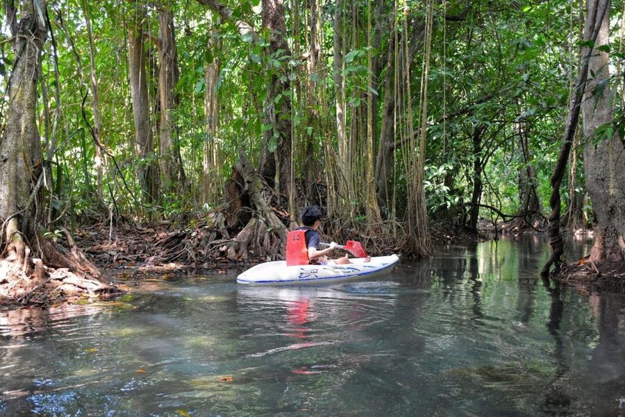 Kayaking and swiming klongrood - Trading the beach for a freshwater canal