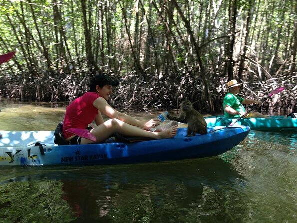 Kayaking in Ao Thalane - Discover the Mangrove life - Ao Thalane by kayak, not by speedboat