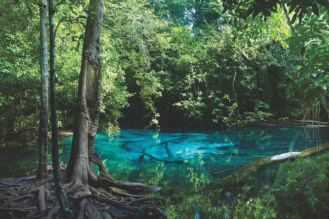 Kayaking in Ao Thalane - Discover the Mangrove life - Tha Pom Klong Song Nam’s meeting of waters
