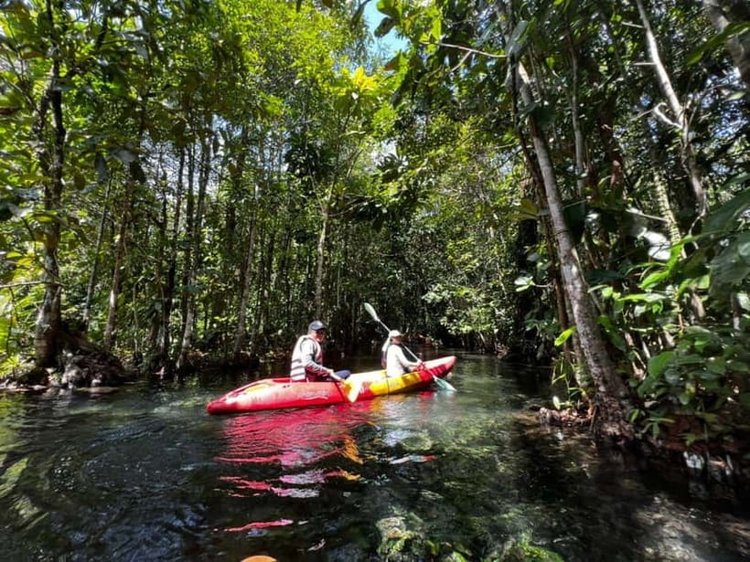 Klong Rud Kayaking with Hotel Transfer - Paddling Through Klong Nam Sai