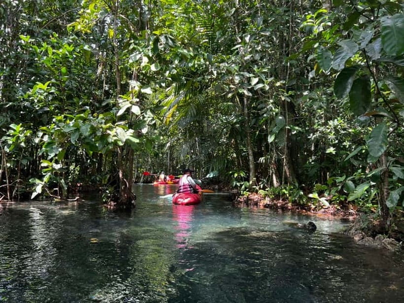 Klong Rud Kayaking with Hotel Transfer - Fruit, Water, and the Ride Back