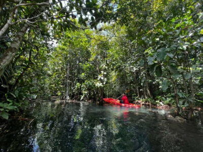 Klong Rud Kayaking with Hotel Transfer