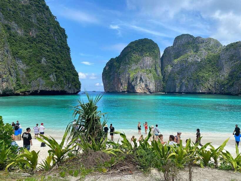 Ko Phi Phi Don: Speedboat Day Trip with Shark Snorkeling - What the $48 price covers